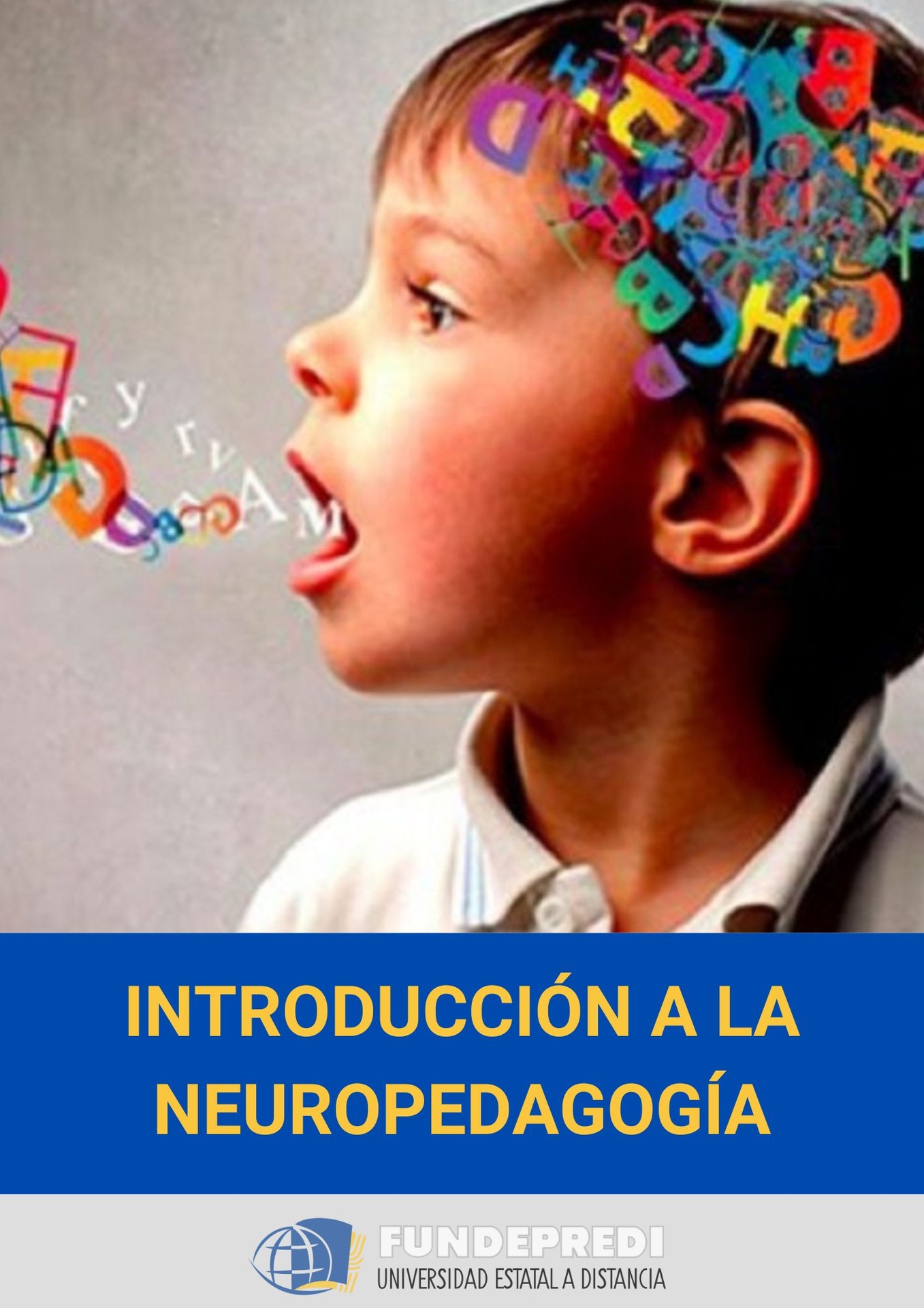 Introducción a la neuropedagogía